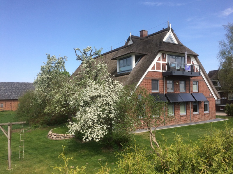 Solarkollektoren als kontruktiver Sonnenschutz